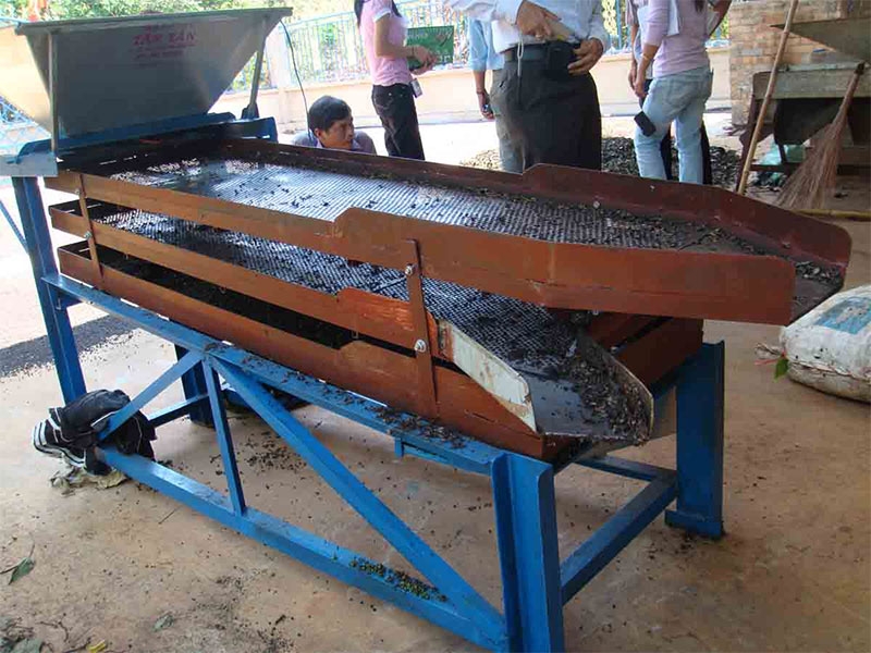 Quy trình chế biến hạt tiêu đạt chuẩn