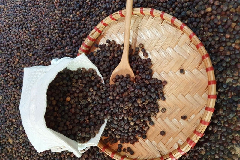 Điều kiện bảo quản hạt tiêu khô lý tưởng