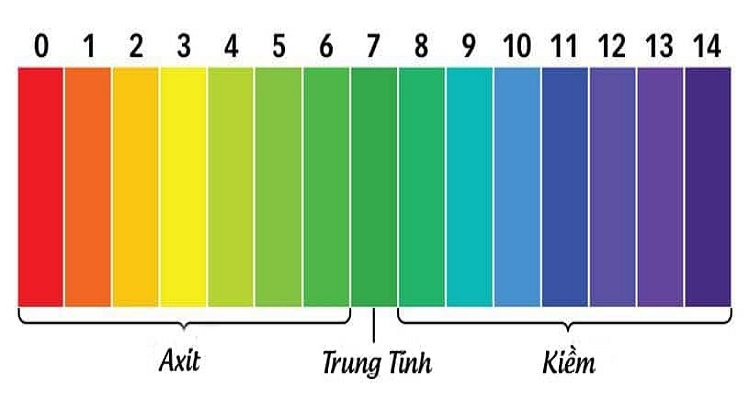 Độ pH trong nước uống bao nhiêu là tốt? (Hình 1)