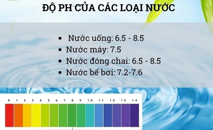 Độ pH trong nước uống bao nhiêu là tốt? (Hình 4)