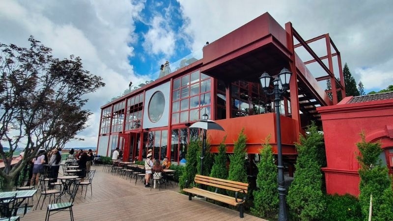 Review đồi chè Cầu Đất 6