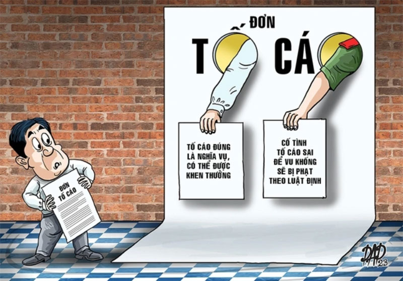 Quyền và nghĩa vụ của người tố cáo