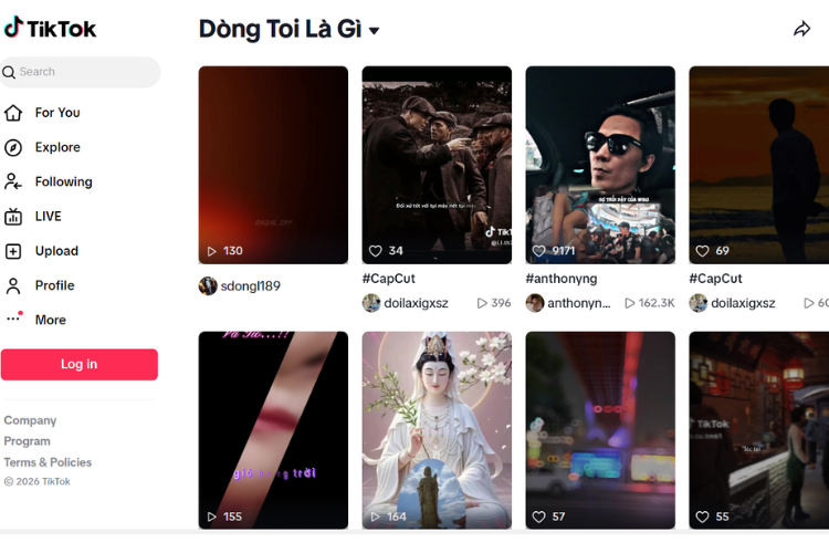 dòng toi là gì tiktok 4