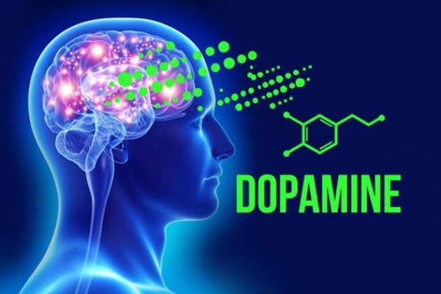 Dopamine là gì? - hình 1