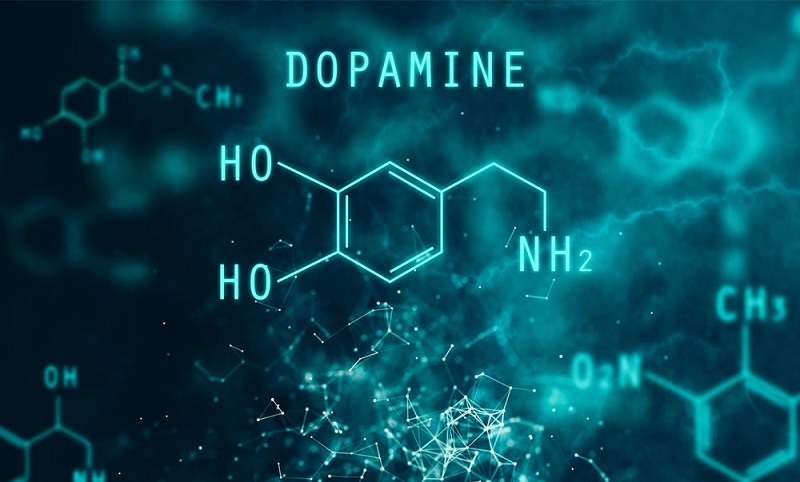 Dopamine là gì? - hình 2