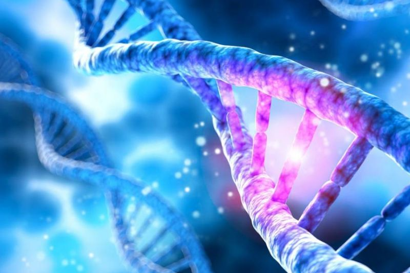 Đột biến gen là gì? (hình 1)