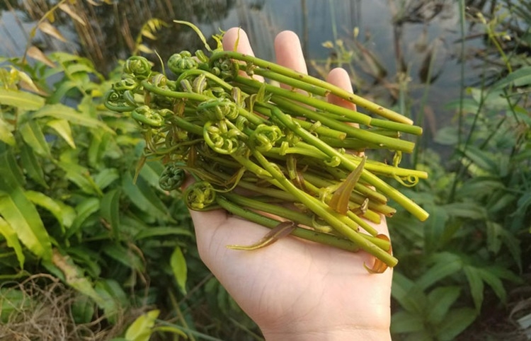 ĐỌT CHOẠI 9
