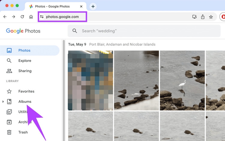 Cách lưu ảnh trên Google Photos - ảnh 13