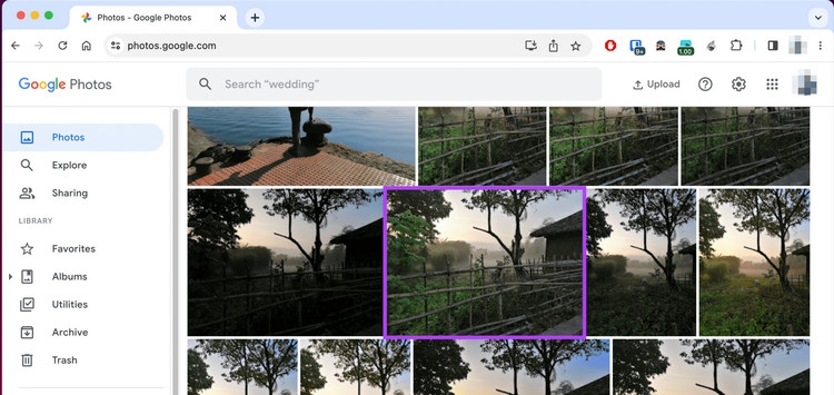 Cách lưu ảnh trên Google Photos - ảnh 1