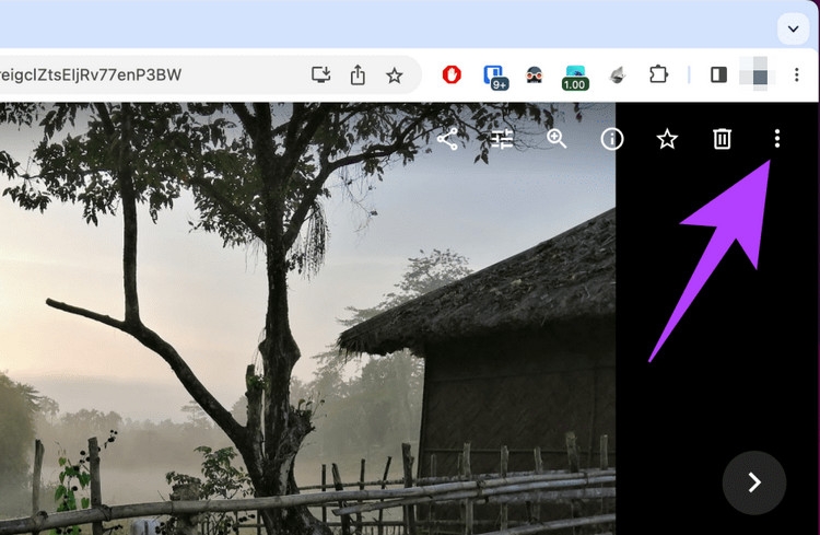 Cách lưu ảnh trên Google Photos - ảnh 2