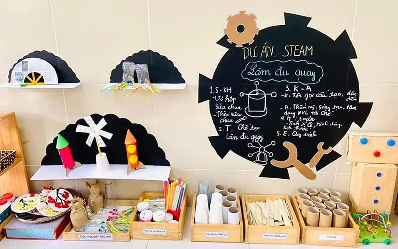 muc dich cua du an steam mam non