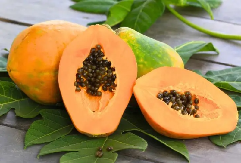 Đu đủ bao nhiêu calo (hình 9)