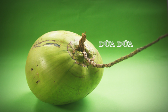 Dừa dứa ngọt mát - Bật mí cách nhận biết và tận hưởng trọn vẹn hương vị đặc sản nổi tiếng