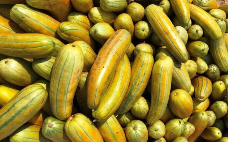 Dưa mắm hình 9