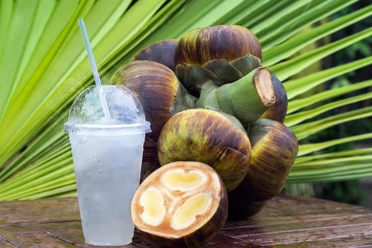 dừa thốt nốt 1