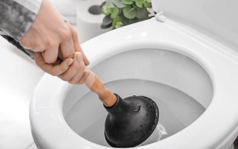 Pittong (cây thụt) - Dụng cụ thông bồn cầu