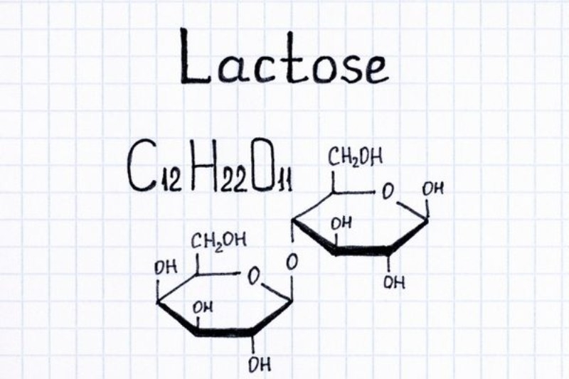 đường lactose 1