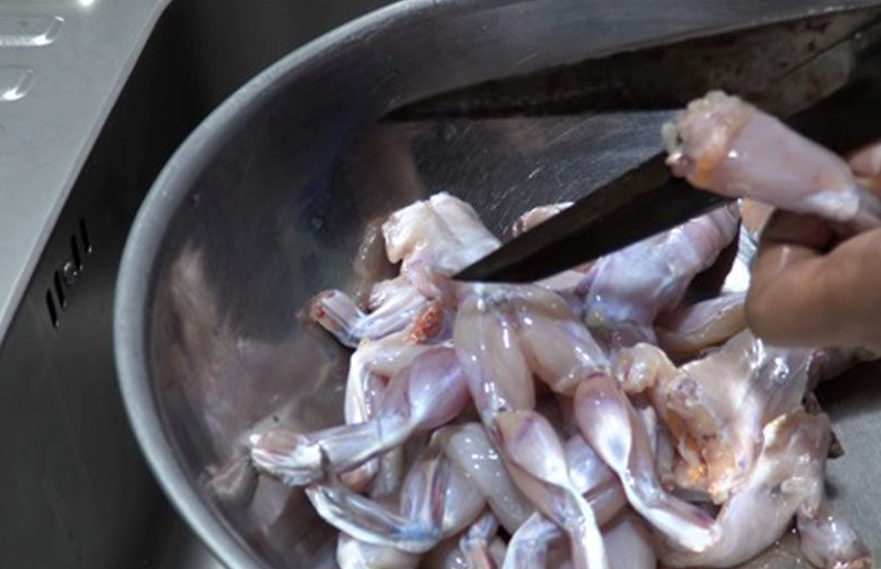 ếch rang muối (hình 3)