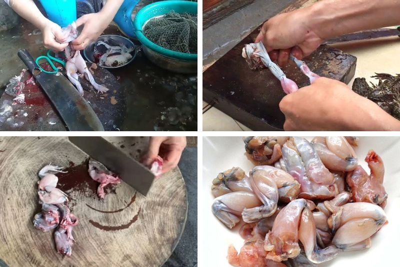 Ếch xào mướp ảnh 3