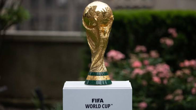 FIFA World Cup 2030 - hình 5
