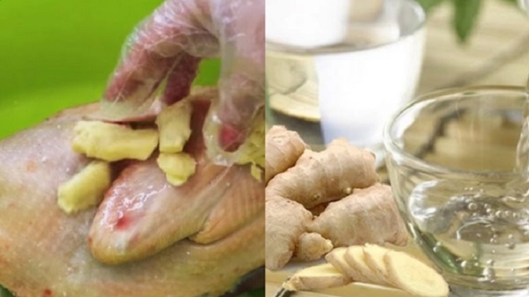 Gà chưng nước mắm (Hình 6)