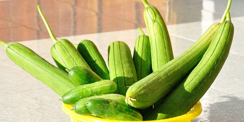 gà hấp mướp 11