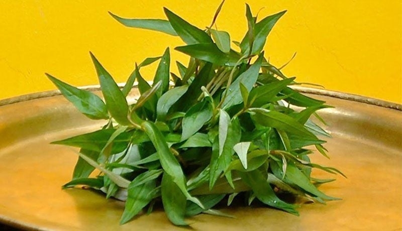 gà hấp rau răm 8