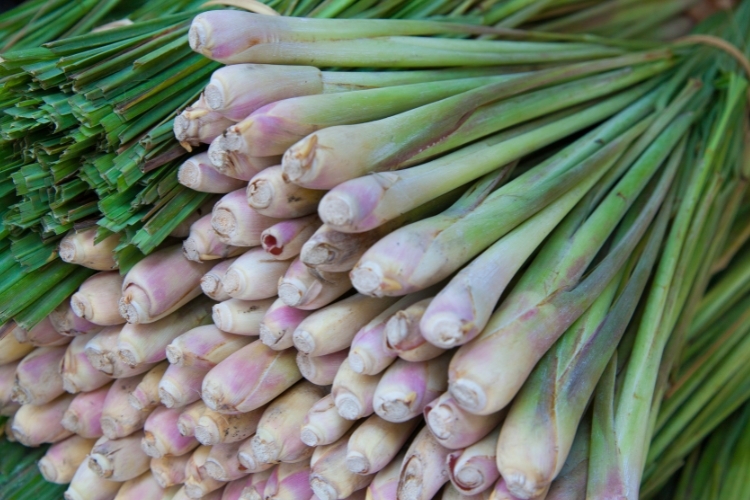 gà kho sả nghệ 3