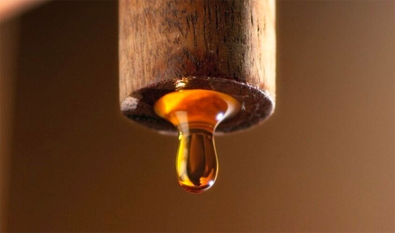 Gà nướng mắm nhĩ hình 7
