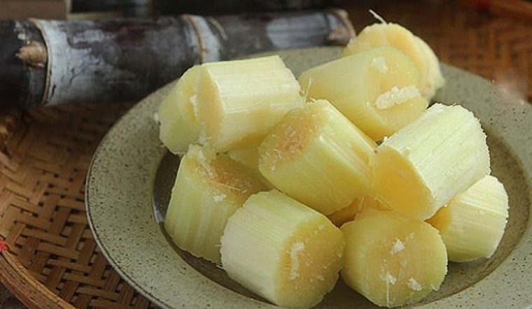 gà ủ mía 8
