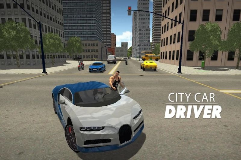 Game lái xe ảnh 7
