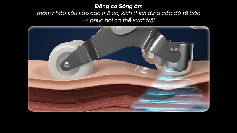 Ghế Massage FUJILUX AquaSonic S33 (hình 3)