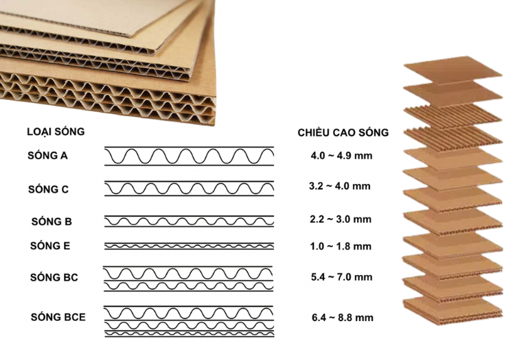 Giấy carton (ảnh 5)