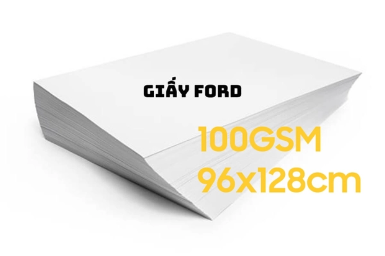giấy ford 2