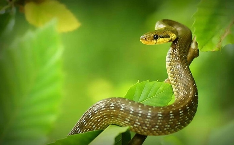 Giờ Hợi là mấy giờ 8