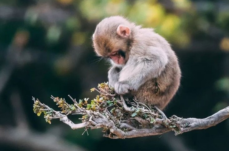 Giờ Hợi là mấy giờ 9