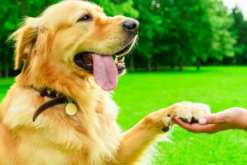 Giờ Tuất là mấy giờ? (hình 3)