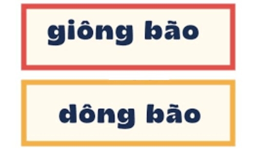 giong-bao-hay-dong-bao-3.jpg
