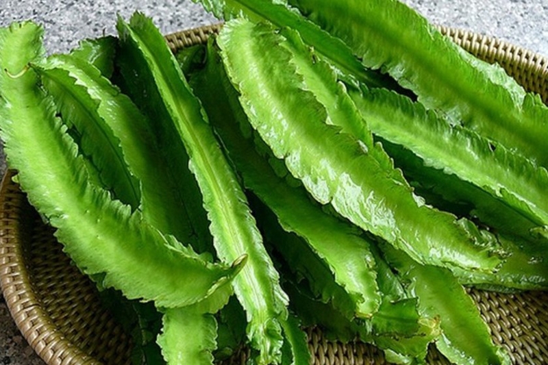 gỏi bò đậu rồng (hình 1)