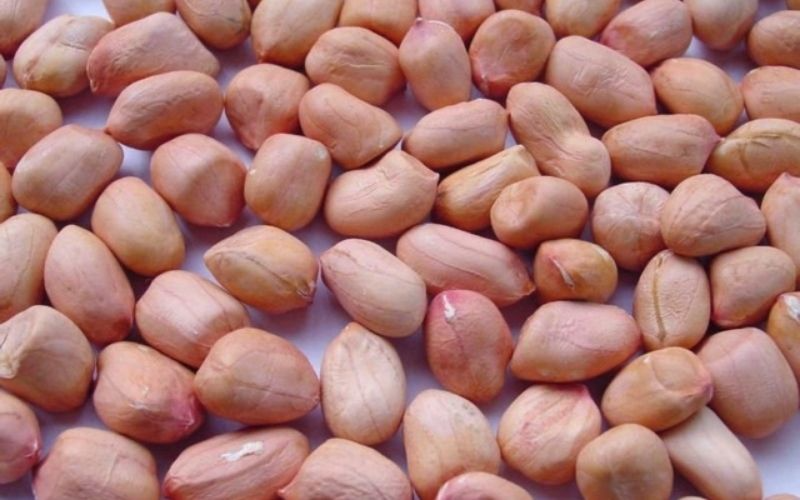 gỏi bò rau muống (hình 4)