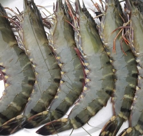 gỏi bưởi hải sản hình 11