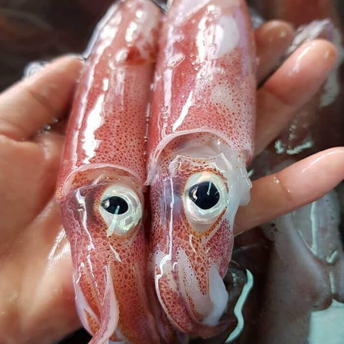 gỏi bưởi hải sản hình 10