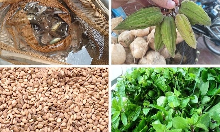 Gỏi cá nhảy (Hình 2)