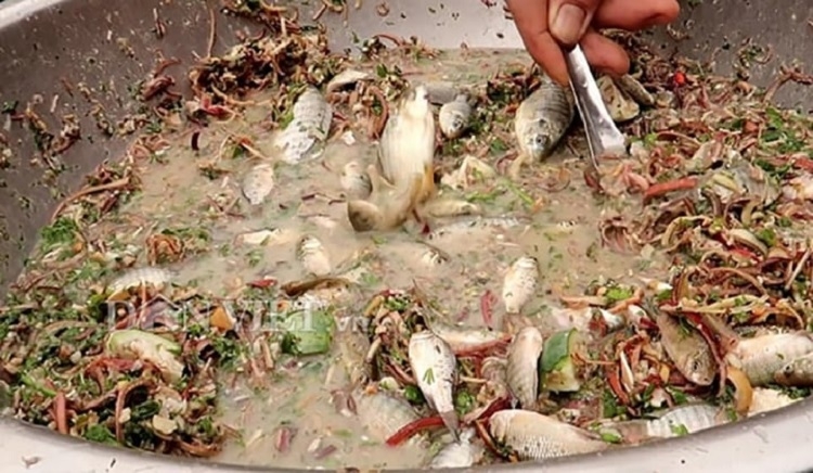 Gỏi cá nhảy (Hình 6)