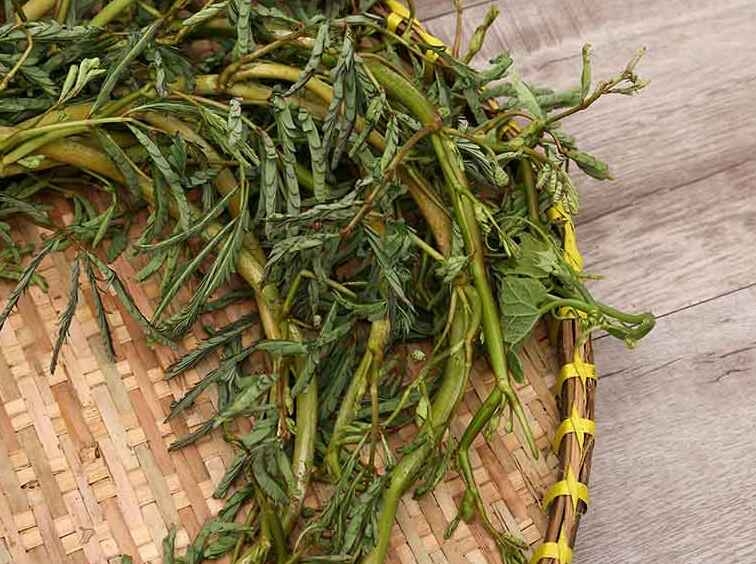 gỏi gà rau nhút 1