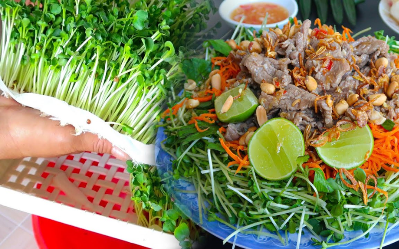 món gỏi rau mầm thịt bò