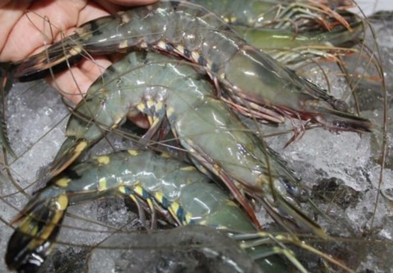 Chia sẻ hai cách làm canh tôm nấu bí (hình 13)