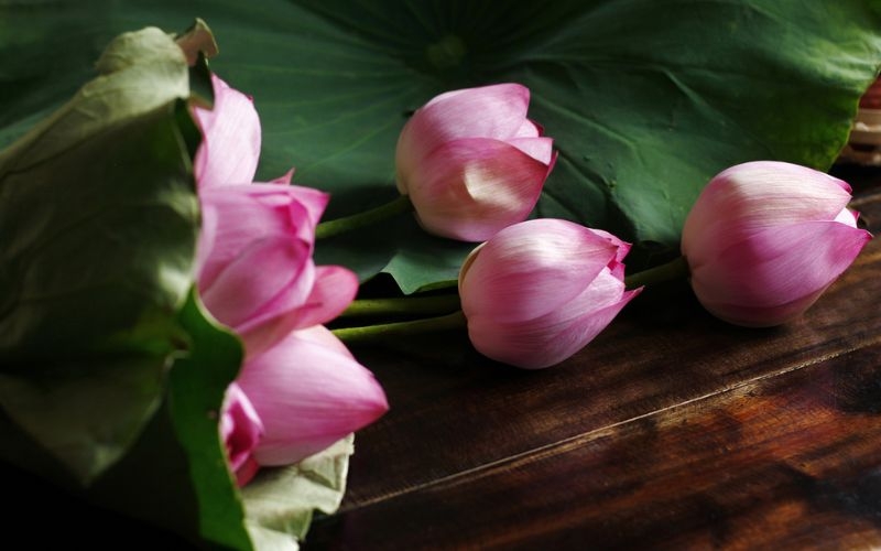 Sơ chế hoa sen làm vịt hấp hoa sen