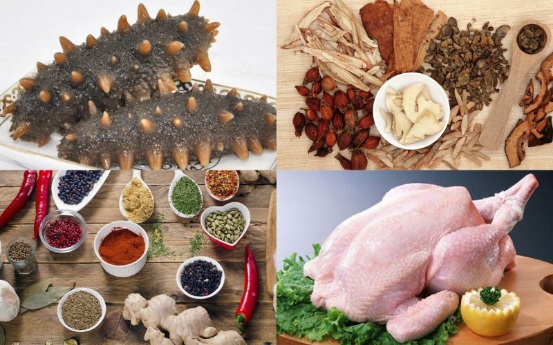 Nguyên liệu hải sâm gai vàng thuốc bắc
