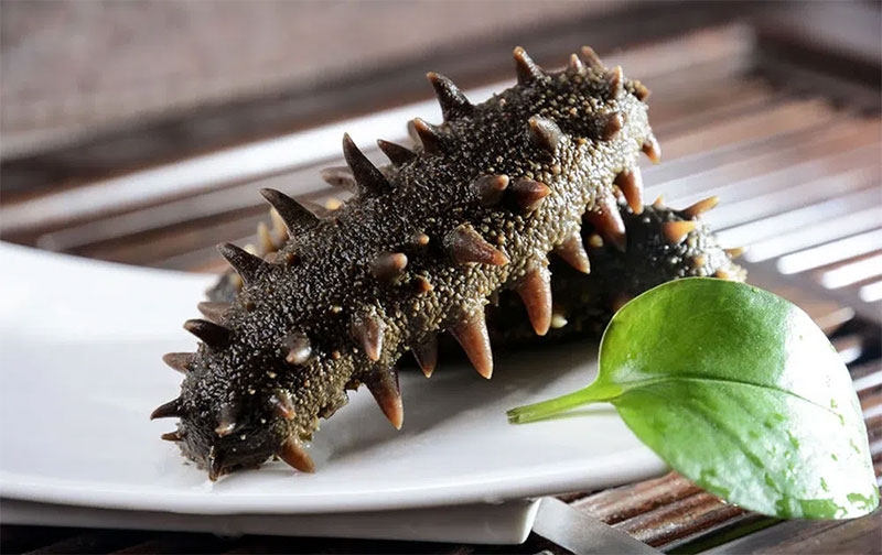 Hải sâm làm món gì hình 1
